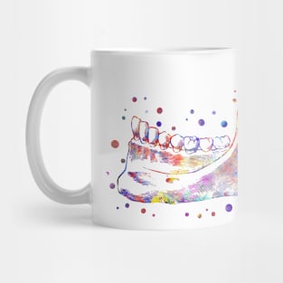 Human mandible, human jaw Mug